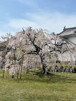 IMG_1554 (3).jpeg IMG_1554 (3).jpeg