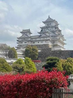 IMG_1567 (9).jpeg IMG_1567 (9).jpeg