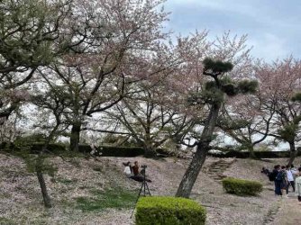 IMG_4058 (2).jpeg IMG_4058 (2).jpeg