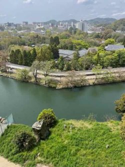 IMG_4104 (2).jpeg IMG_4104 (2).jpeg