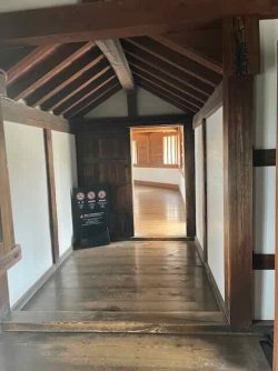 IMG_4106 (4).jpeg IMG_4106 (4).jpeg