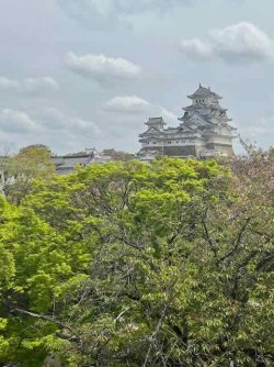 IMG_4113 (5).jpeg IMG_4113 (5).jpeg