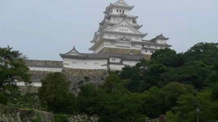 L1130784.jpeg L1130784.jpeg