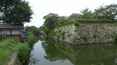 L1130785.jpeg L1130785.jpeg