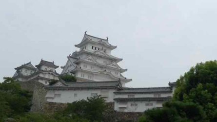 L1130787.jpeg L1130787.jpeg