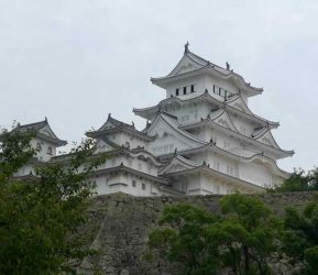 L1130790.jpeg L1130790.jpeg