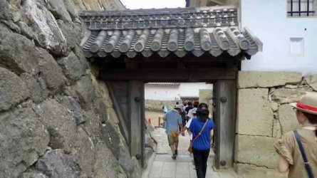 L1130800.jpeg L1130800.jpeg