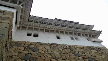 L1130802.jpeg L1130802.jpeg