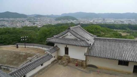 L1130812.jpeg L1130812.jpeg