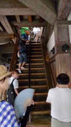 L1130820.jpeg L1130820.jpeg