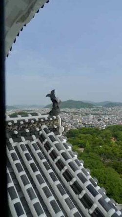 L1130856.jpeg L1130856.jpeg