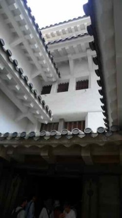 L1130886.jpeg L1130886.jpeg