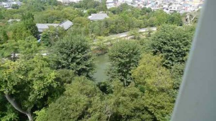 L1130926.jpeg L1130926.jpeg