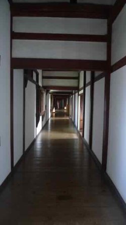 L1130943.jpeg L1130943.jpeg