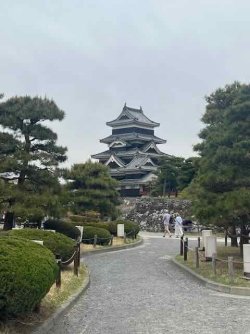 IMG_2439 (7).jpeg IMG_2439 (7).jpeg