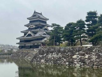 IMG_2445 (7).jpeg IMG_2445 (7).jpeg