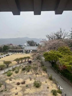 IMG_2507 (4).jpeg IMG_2507 (4).jpeg