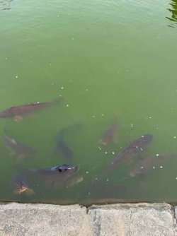 IMG_2696 (4).jpeg IMG_2696 (4).jpeg