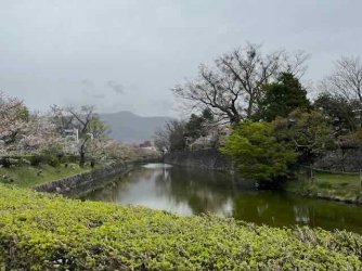 IMG_2703 (4).jpeg IMG_2703 (4).jpeg