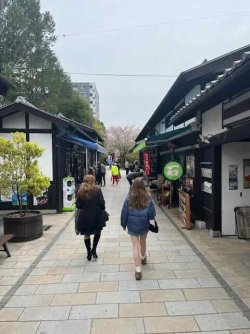 IMG_4465 (4).jpeg IMG_4465 (4).jpeg