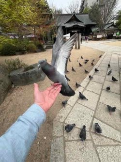 IMG_4470 (3).jpeg IMG_4470 (3).jpeg