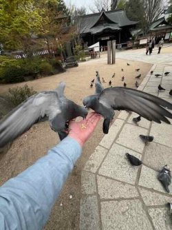 IMG_4475 (4).jpeg IMG_4475 (4).jpeg