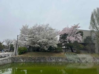 IMG_4484 (2).jpeg IMG_4484 (2).jpeg