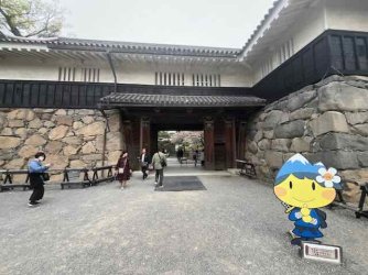 IMG_4493 (6).jpeg IMG_4493 (6).jpeg