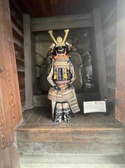 IMG_4494 (5).jpeg IMG_4494 (5).jpeg