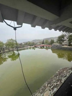 IMG_4506 (3).jpeg IMG_4506 (3).jpeg