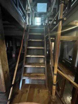 IMG_4517 (4).jpeg IMG_4517 (4).jpeg