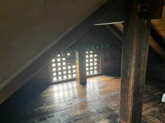 IMG_4532 (4).jpeg IMG_4532 (4).jpeg