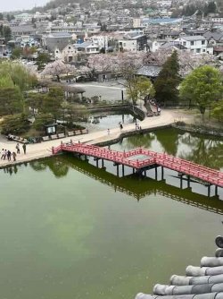 IMG_4534 (5).jpeg IMG_4534 (5).jpeg