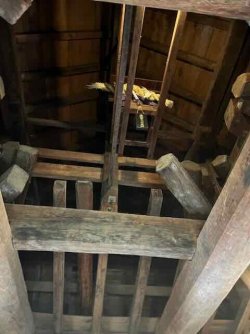 IMG_4540 (5).jpeg IMG_4540 (5).jpeg