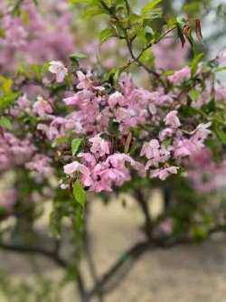 IMG_4562 (5).jpeg IMG_4562 (5).jpeg