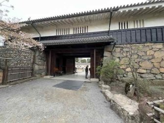 IMG_4566 (5).jpeg IMG_4566 (5).jpeg