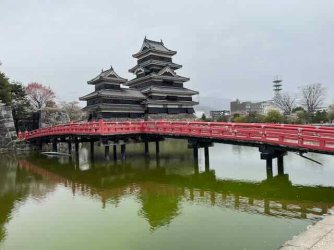 IMG_4580 (2).jpeg IMG_4580 (2).jpeg