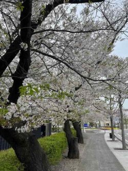 IMG_4592 (1).jpeg IMG_4592 (1).jpeg