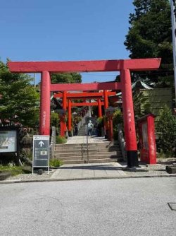 IMG_2932.jpeg IMG_2932.jpeg