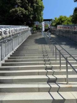 IMG_2938.jpeg IMG_2938.jpeg