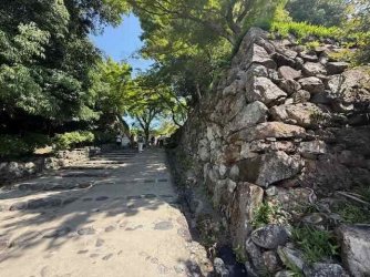 IMG_2943.jpeg IMG_2943.jpeg