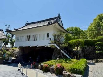 IMG_2947.jpeg IMG_2947.jpeg