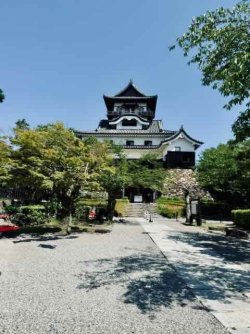 IMG_2948.jpeg IMG_2948.jpeg