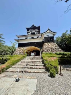 IMG_2954.jpeg IMG_2954.jpeg