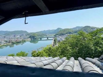 IMG_2969.jpeg IMG_2969.jpeg