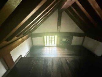 IMG_2981.jpeg IMG_2981.jpeg