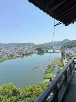 IMG_2987.jpeg IMG_2987.jpeg