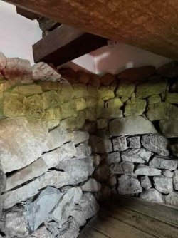 IMG_2994.jpeg IMG_2994.jpeg