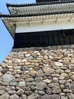 IMG_3002.jpeg IMG_3002.jpeg