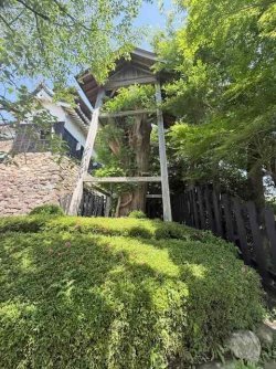 IMG_3006.jpeg IMG_3006.jpeg